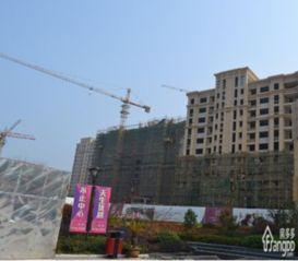 正东中央公馆新闻爆料事件,揭秘背后真相与争议  第1张